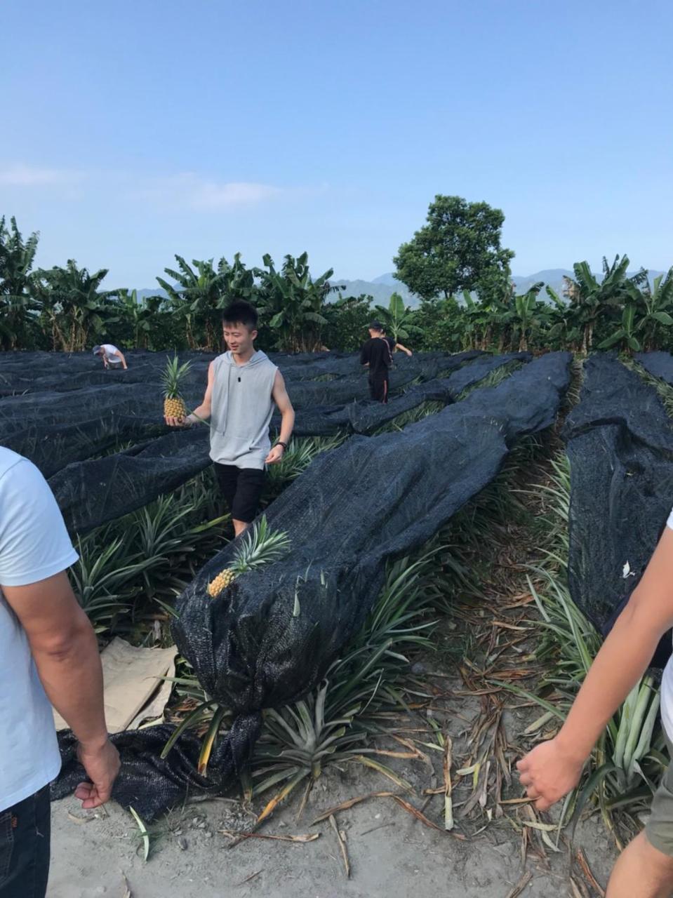 Yi-Xiang Yuan Guest House驛香緣民宿 รุ่ยซุ่ย ภายนอก รูปภาพ